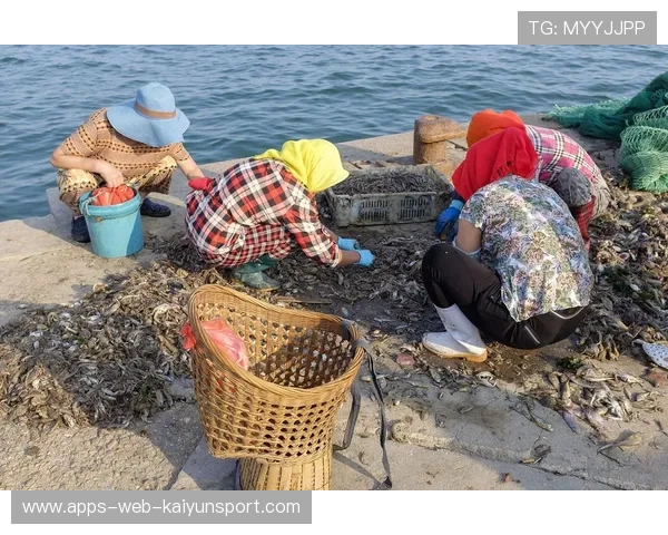 台风带来惊喜,惠州海滩海鲜爆棚,惠州台风厉害吗 台风带来惊喜,惠州海滩海鲜爆棚,惠州台风厉害吗