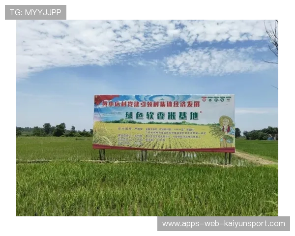 助推乡村体育发展的新闻传播阵地，关于乡村体育发展的调查报告